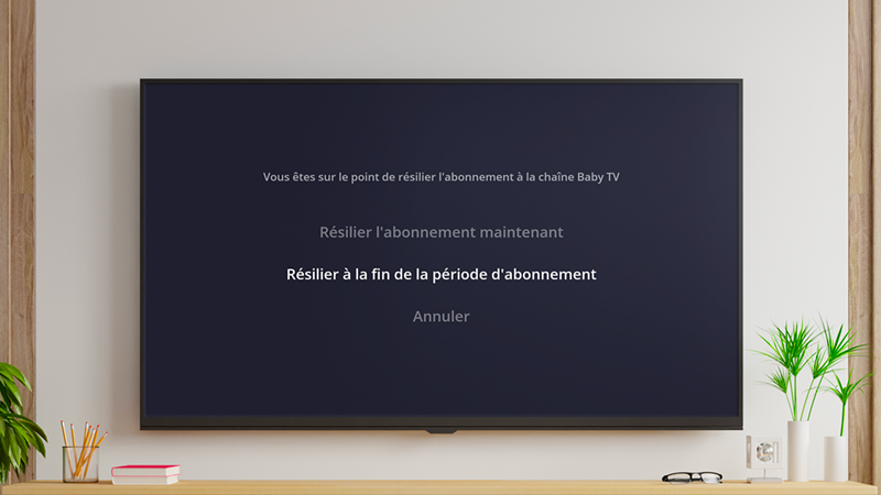 Résilier une chaîne payante - Choix de l'arrêt de diffusion