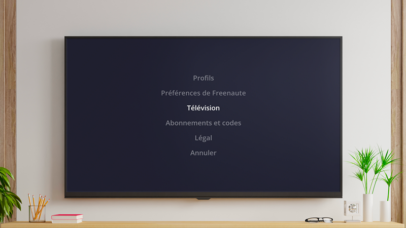 Accéder à la TNT depuis ma Freebox - Menu Télévision